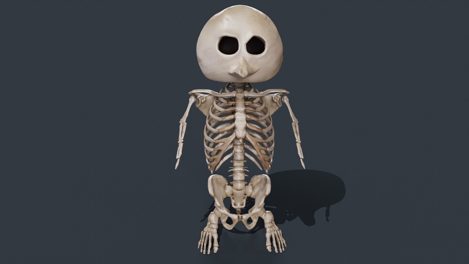 Penguin Skull Low-poly 3D model_4