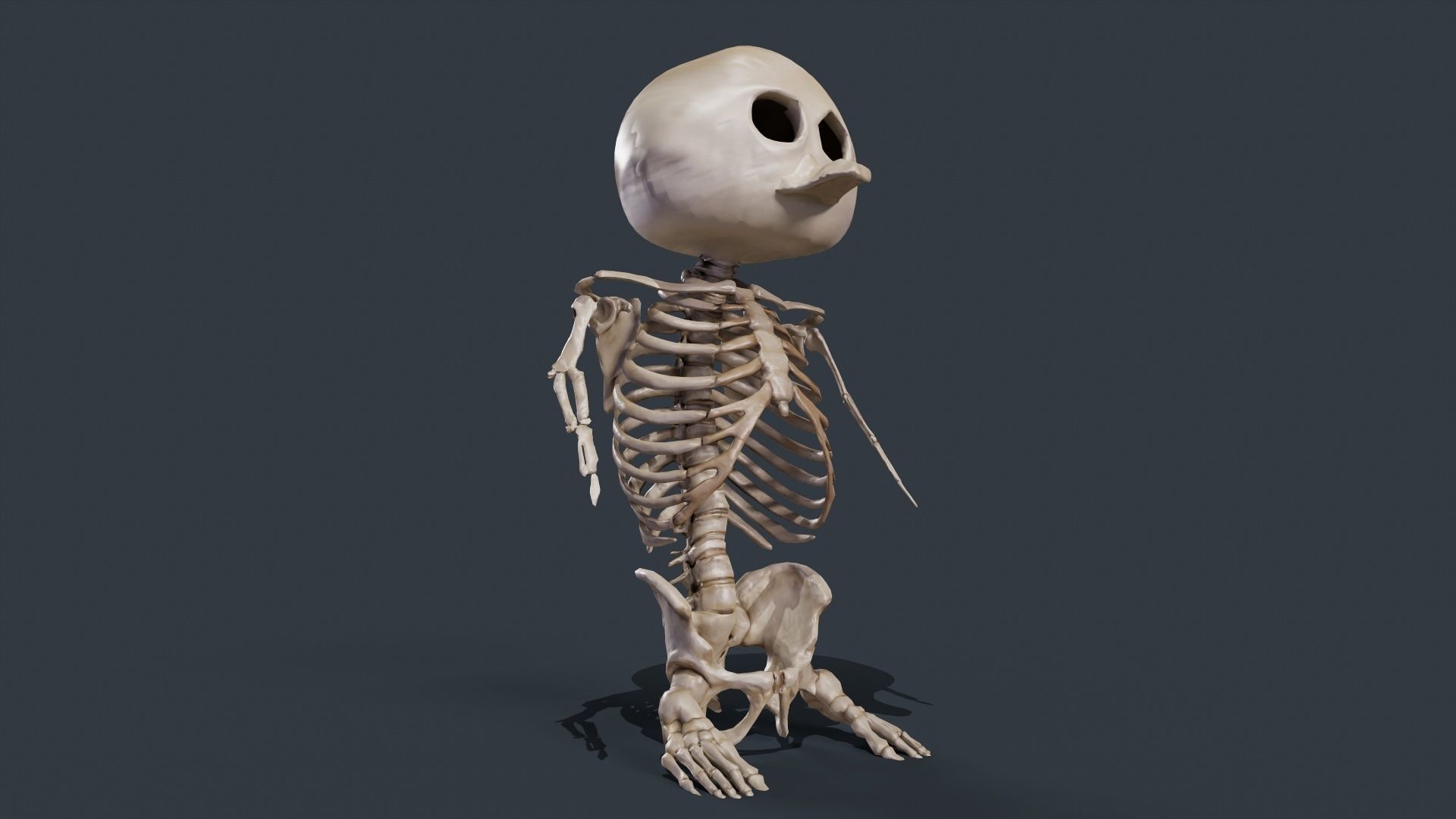 Penguin Skull Low-poly 3D model_3
