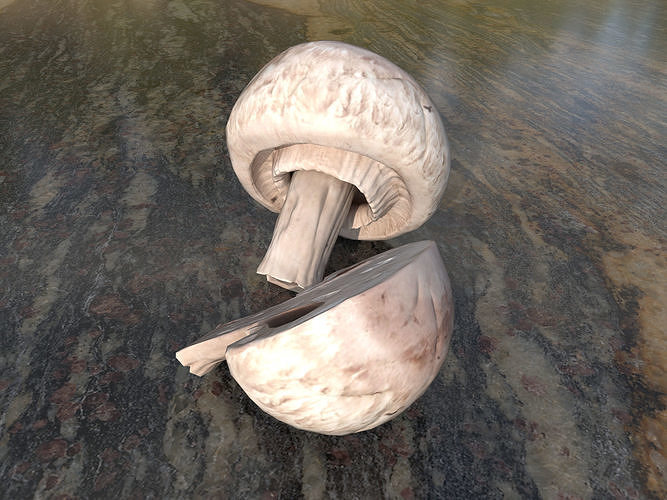 Button mushrooms Low-poly 3D model 5