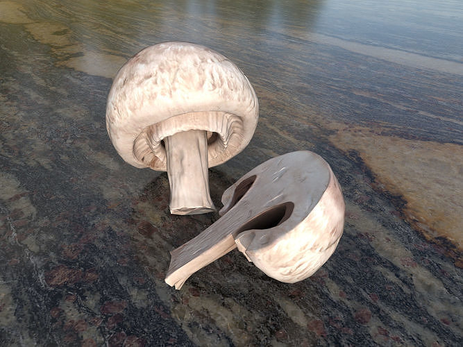 Button mushrooms Low-poly 3D model 4