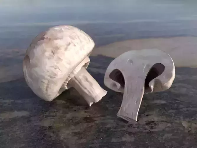 Button mushrooms Low-poly 3D model