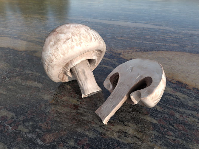 Button mushrooms Low-poly 3D model 3