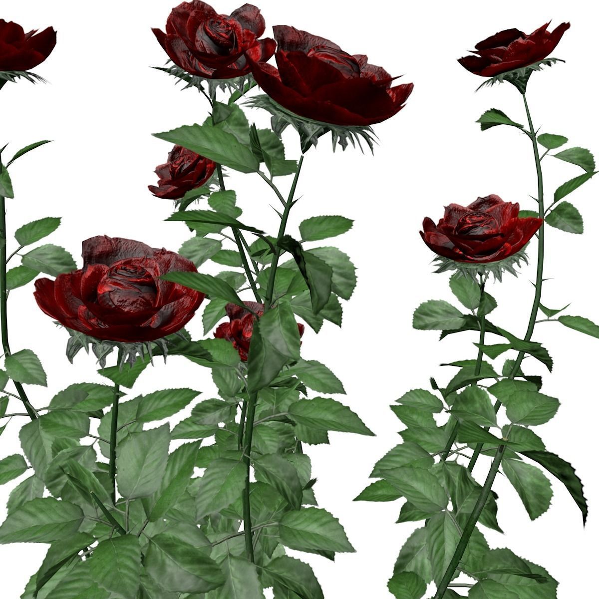 Red Rose Patch  - 02 - 3D model_2