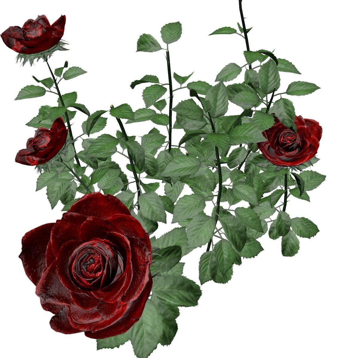 Red Rose Patch - 03 - 3D model_2