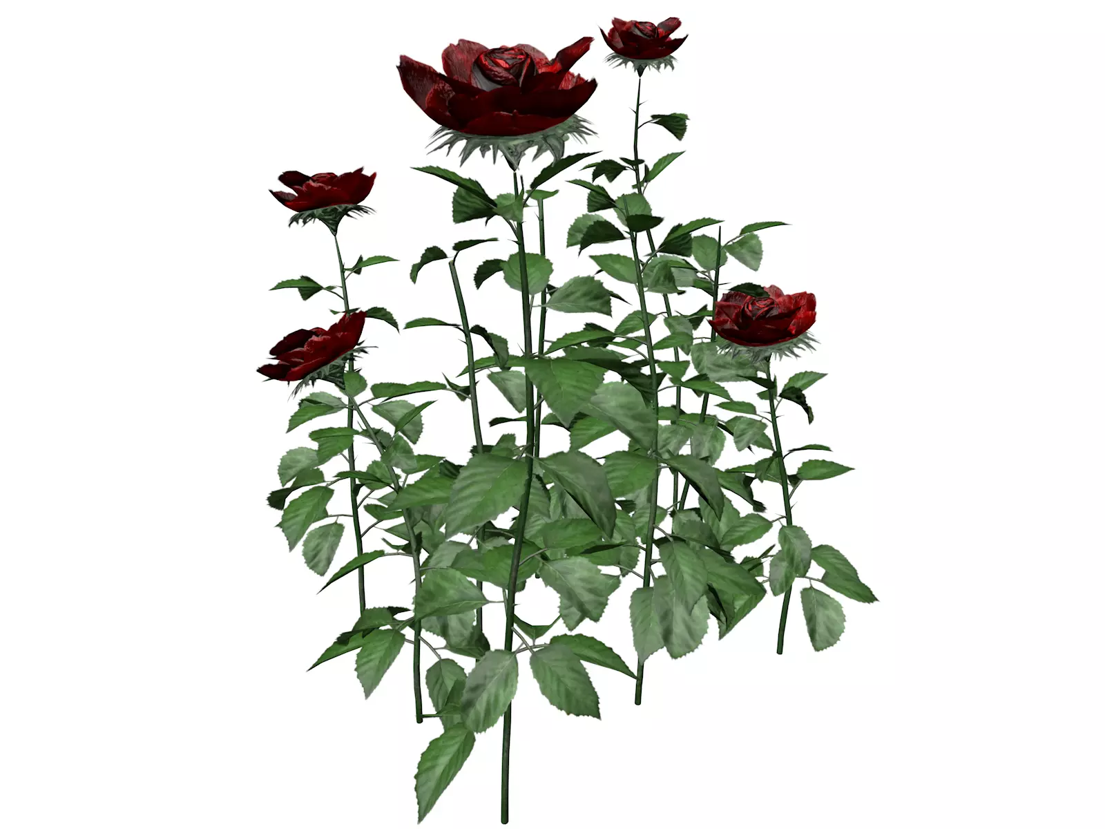 Red Rose Patch - 03 - 3D model_0