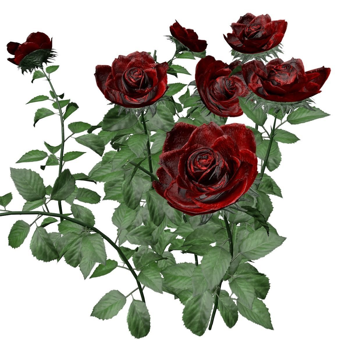 Red Rose Patch  - 04 - 3D model_2