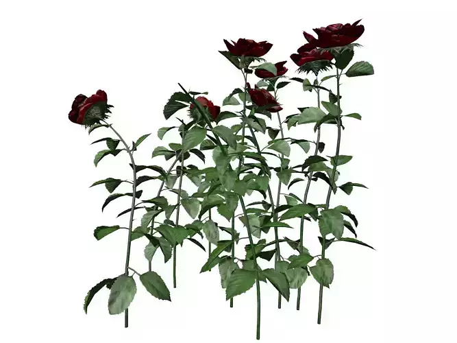 Red Rose Patch  - 04 - 3D model