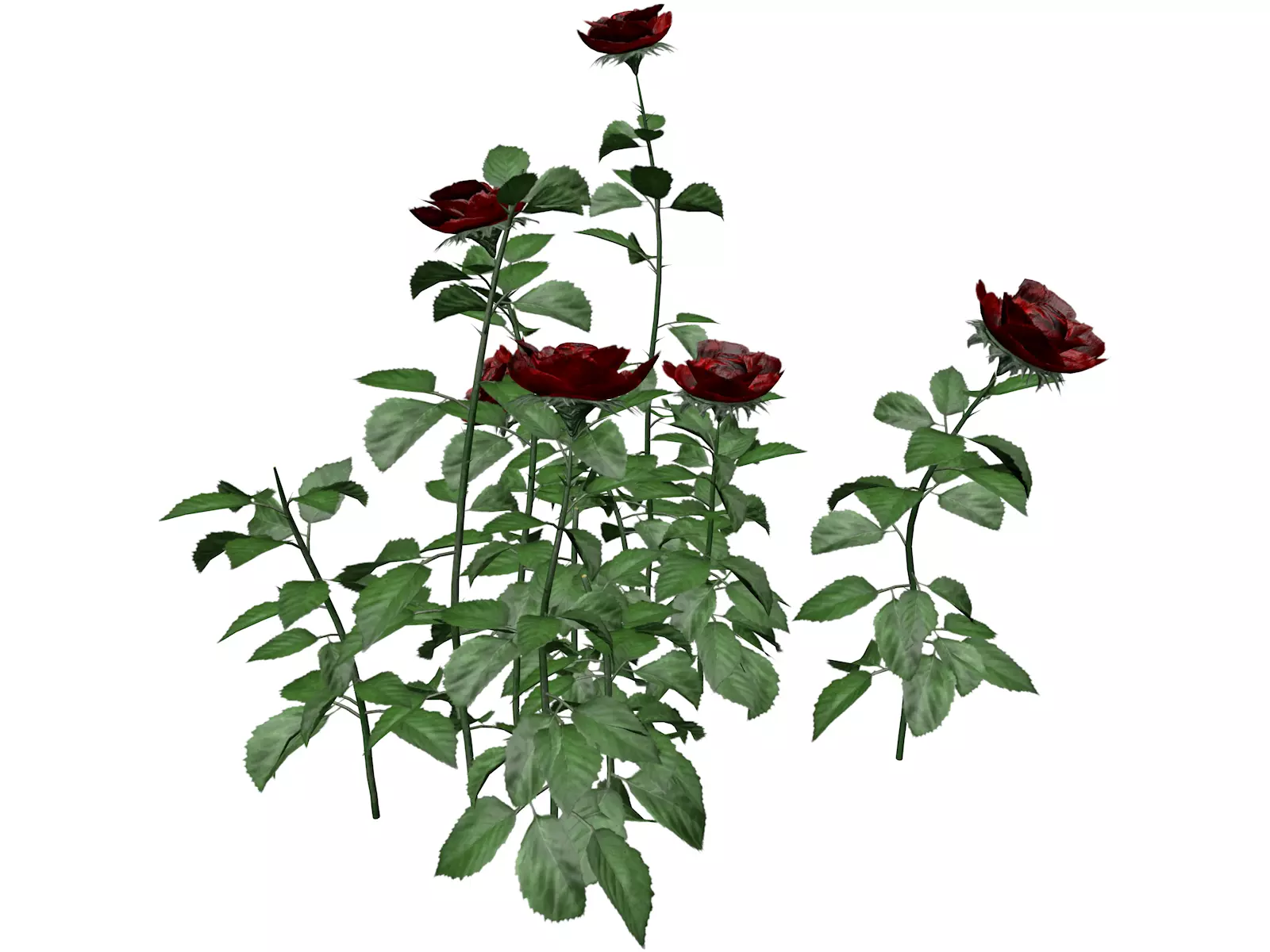 Red Rose Patch  - 05 - 3D model_0