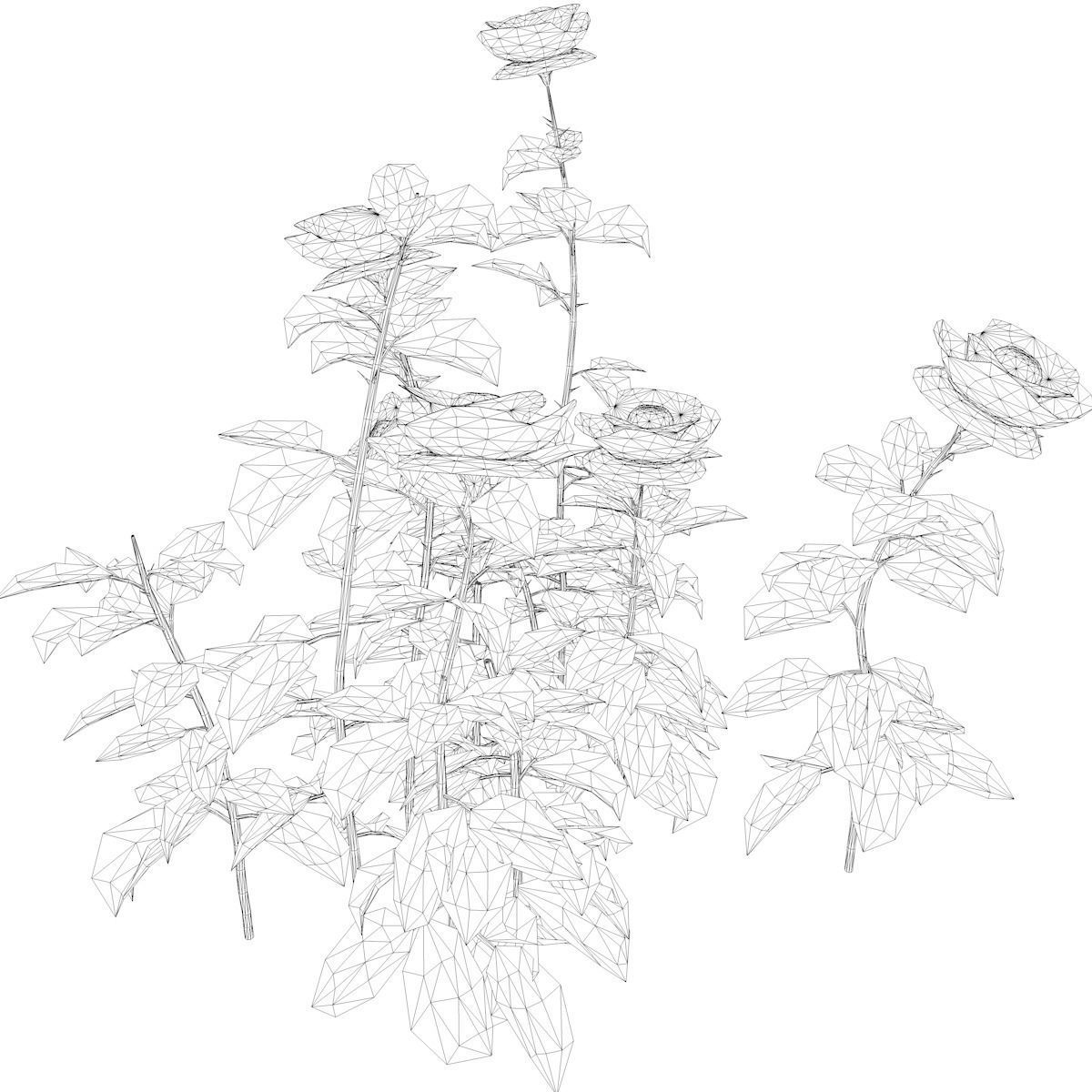 Red Rose Patch  - 05 - 3D model_1