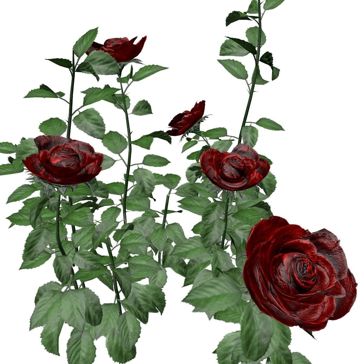 Red Rose Patch  - 05 - 3D model_2