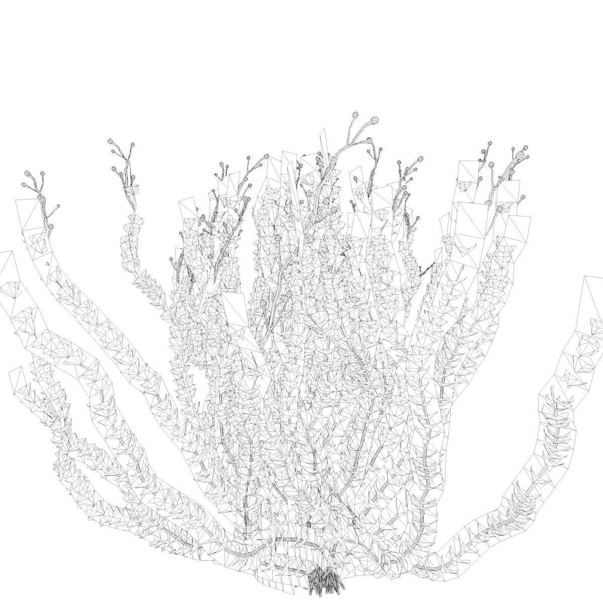 Sagebrush Bush  - 01 - 3D model_1