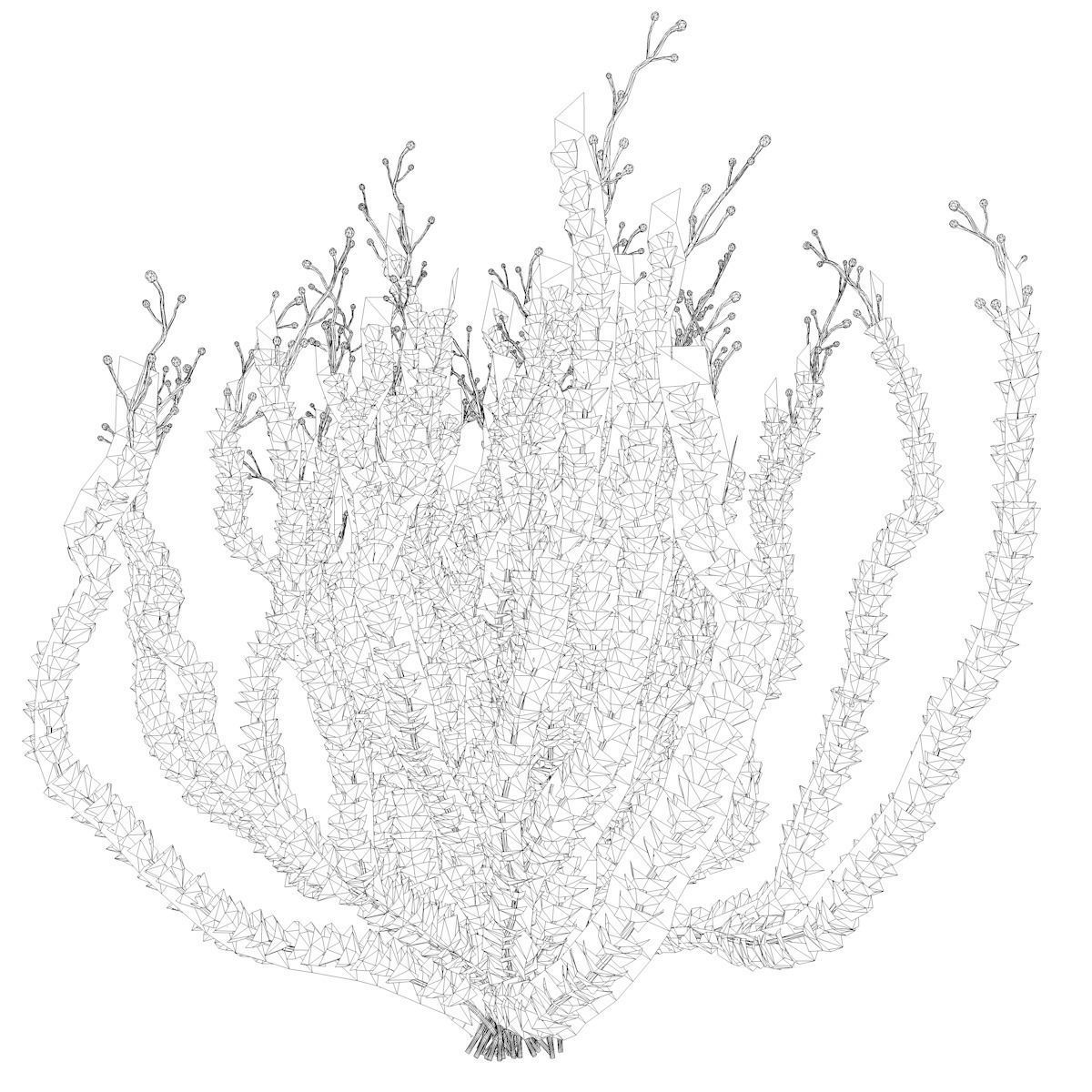 Sagebrush Bush  - 03 - 3D model_1