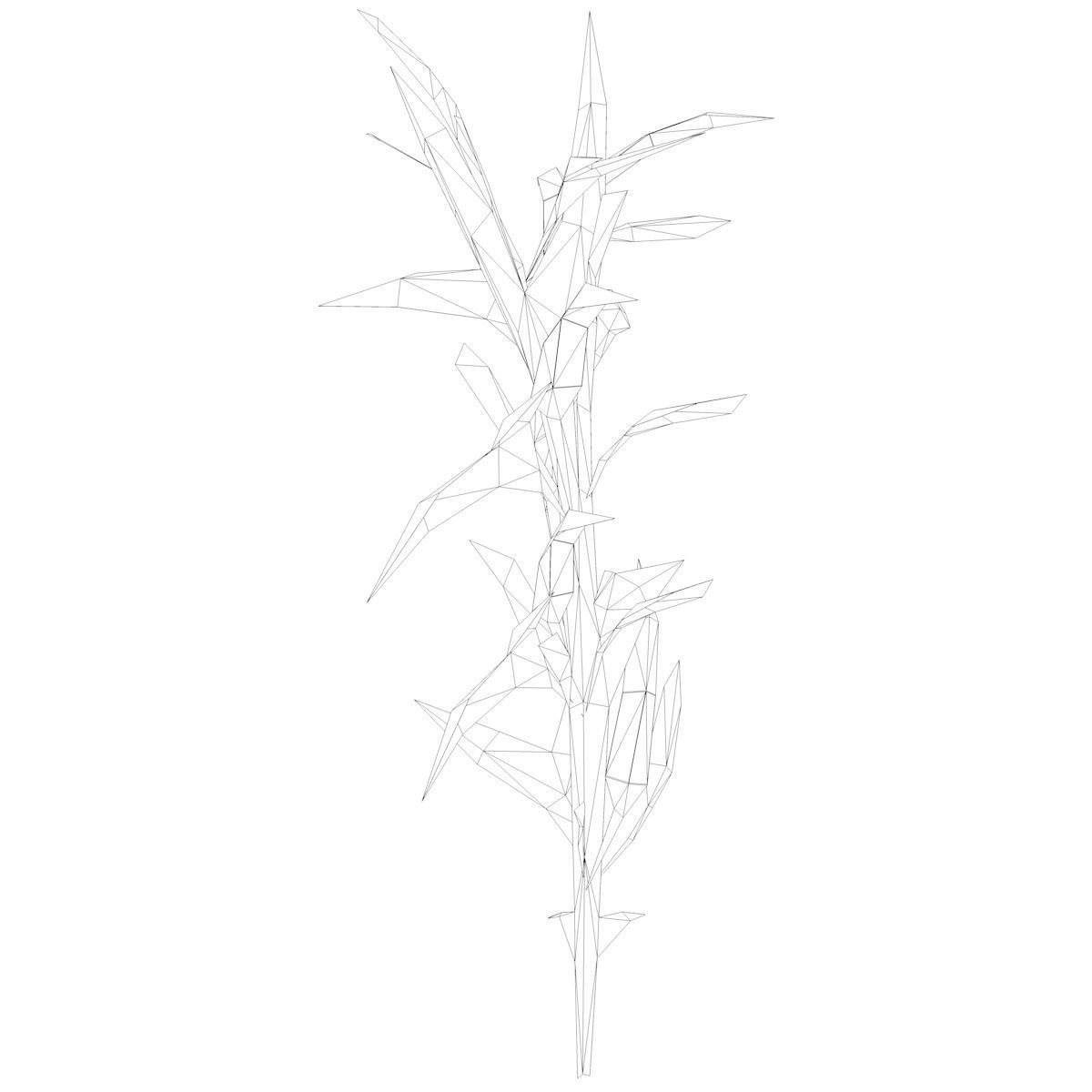 Switchcane Plant  - 01 - 3D model_1