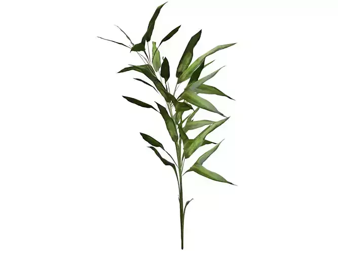 Switchcane Plant  - 02 -