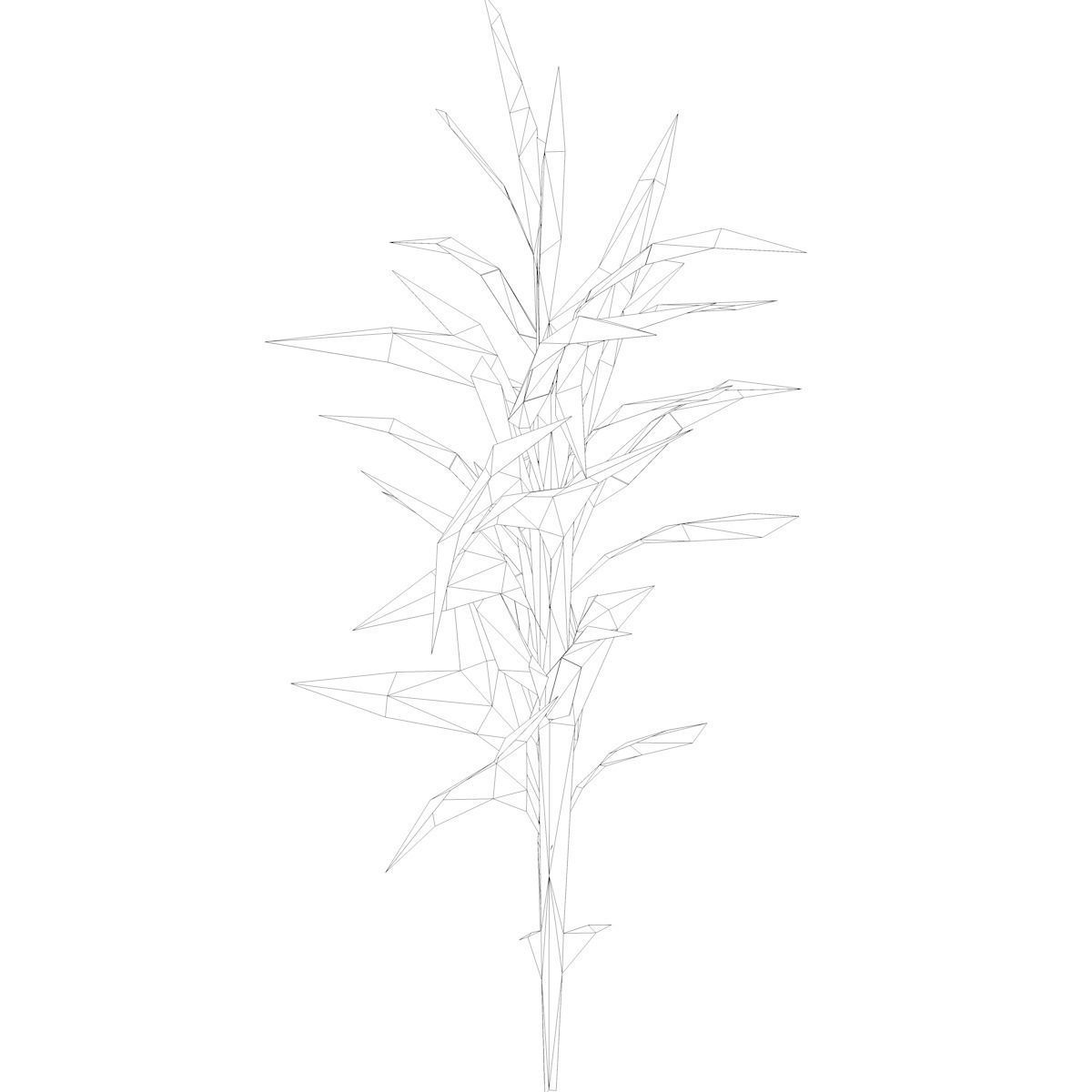 Switchcane Plant  - 05 - 3D model_1