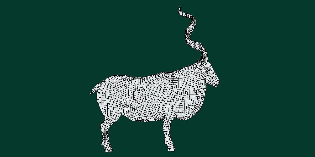 Markhor Wild Goat Low-poly 3D model_7