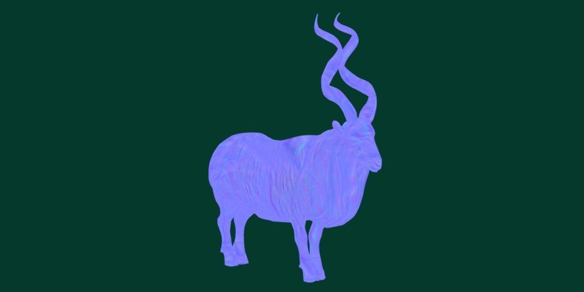 Markhor Wild Goat Low-poly 3D model_14