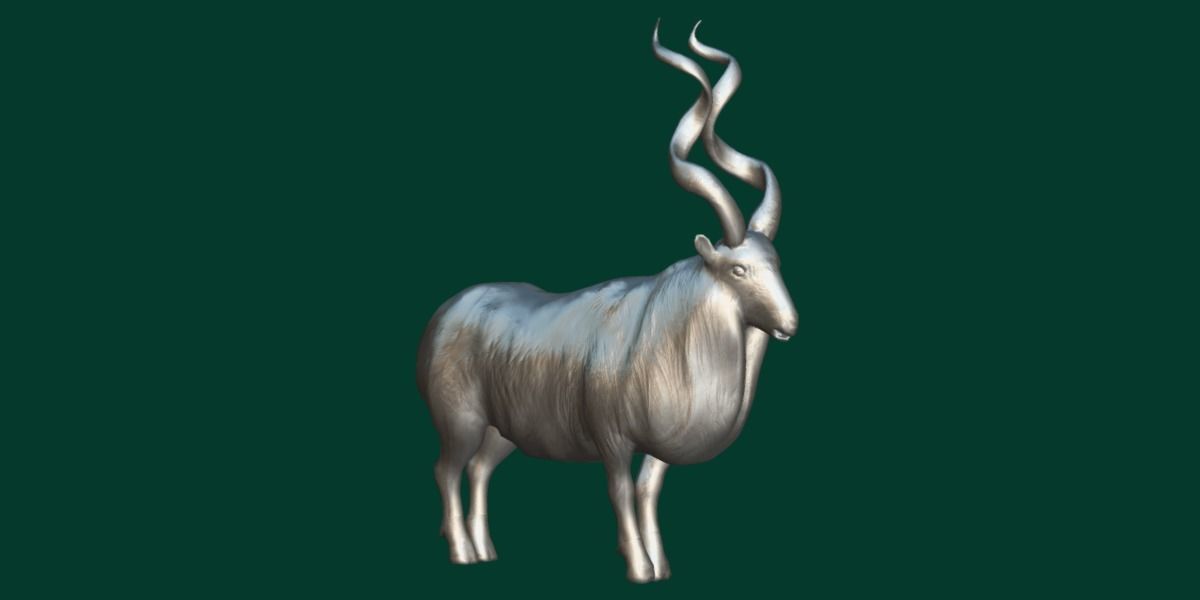 Markhor Wild Goat Low-poly 3D model_19