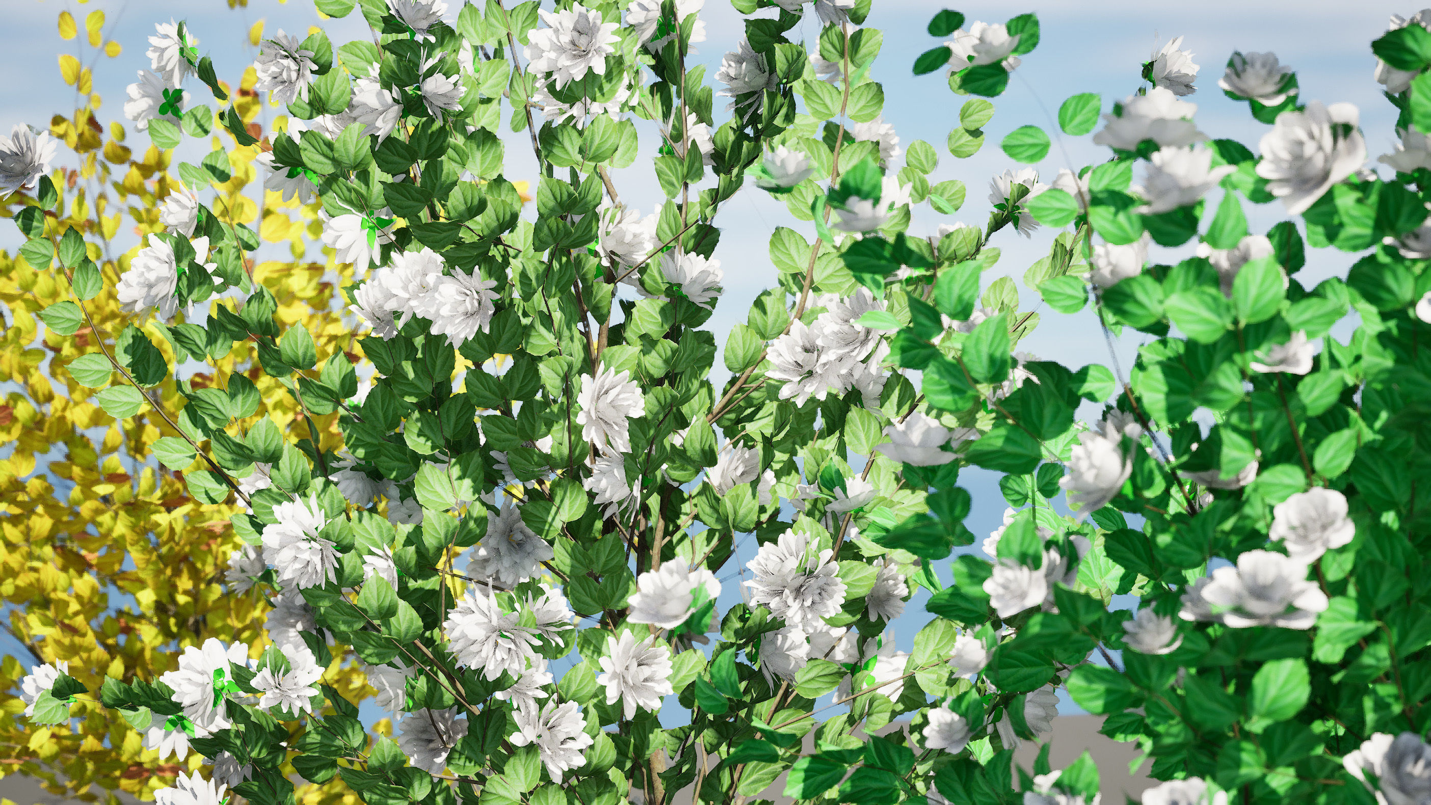 Minnesota Snowflake Mock Orange flower 3d pack Low-poly 3D model_3