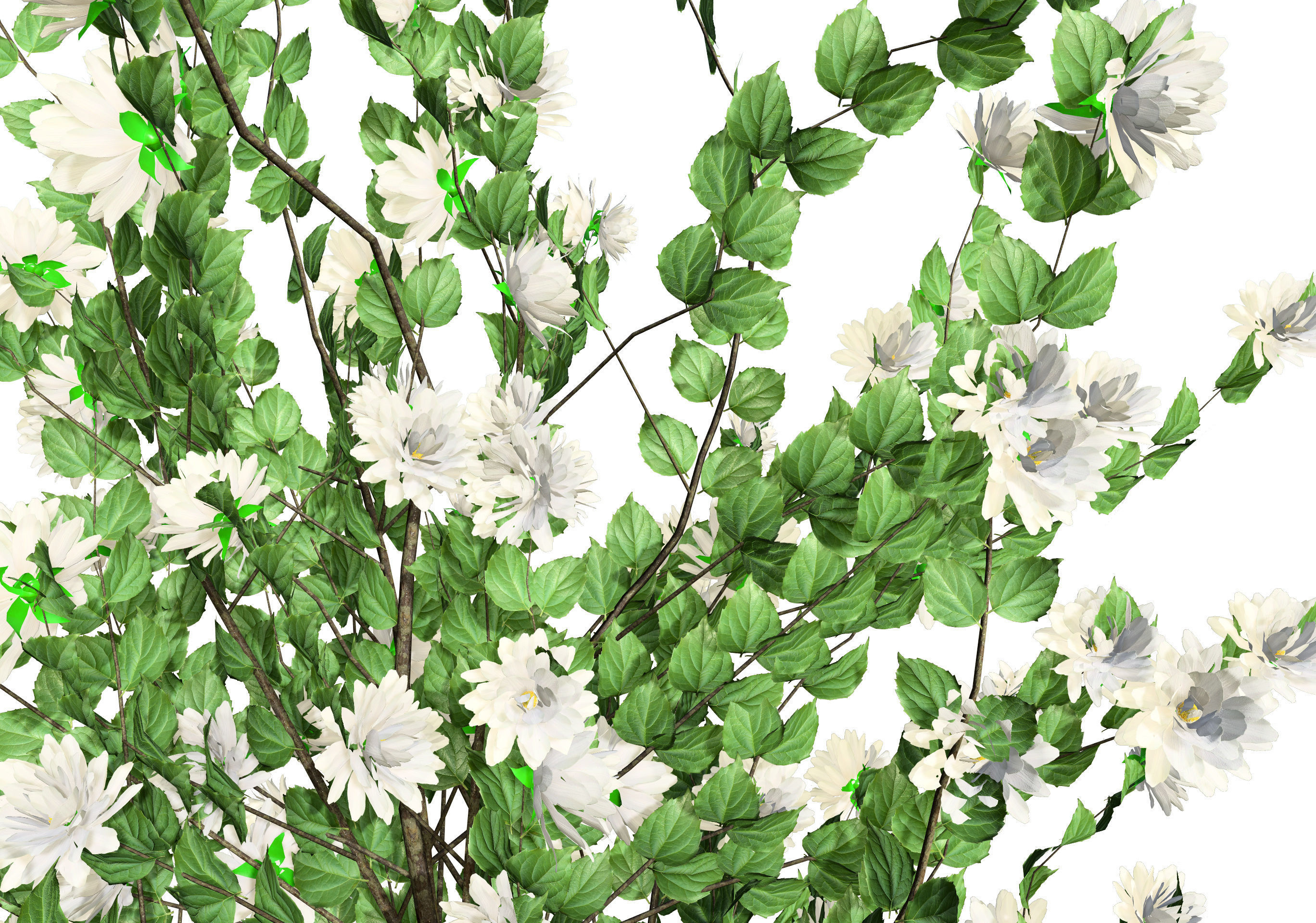 Minnesota Snowflake Mock Orange flower 3d pack Low-poly 3D model_7