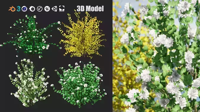 Minnesota Snowflake Mock Orange flower 3d pack Low-poly 3D model