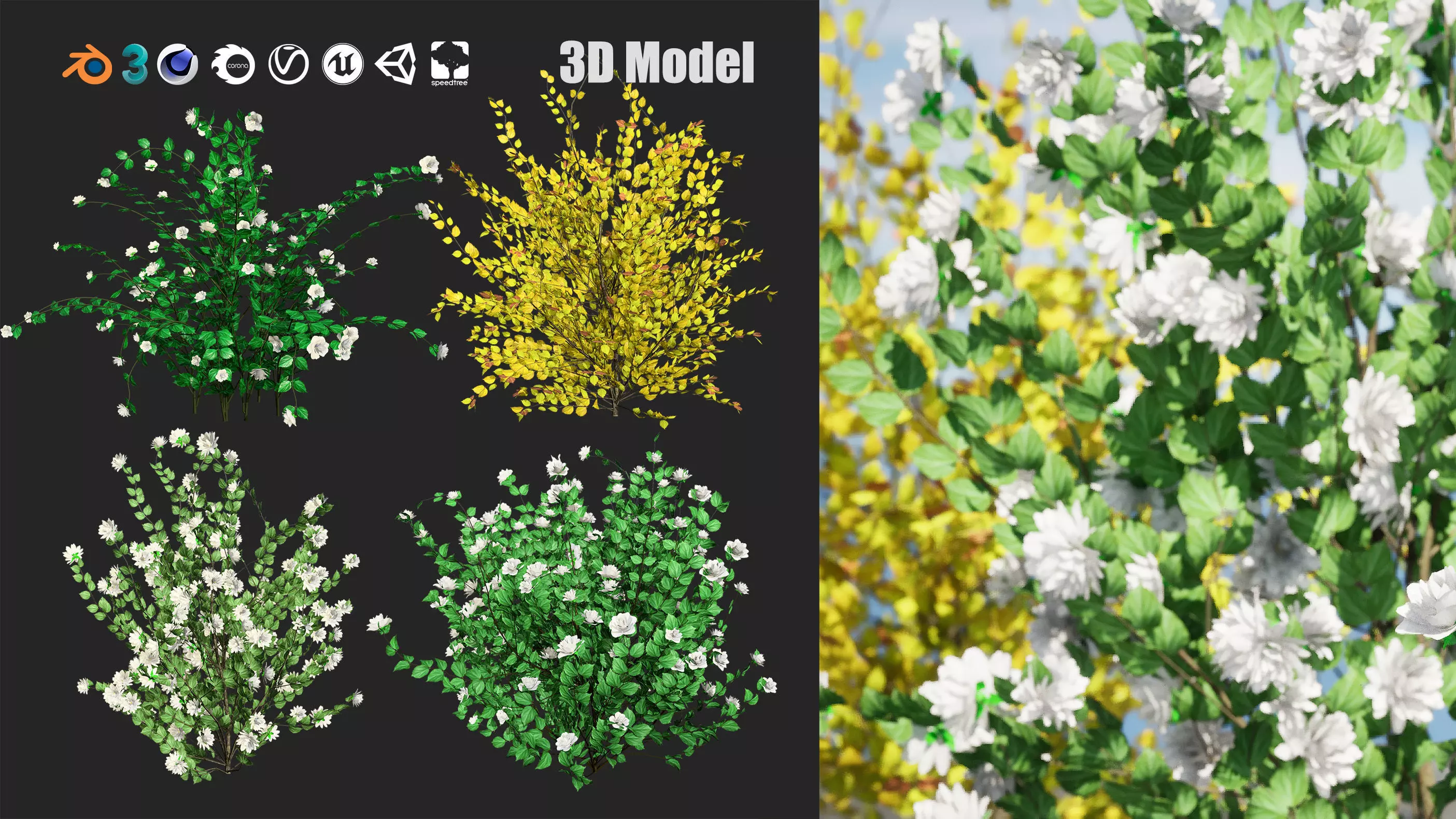 Minnesota Snowflake Mock Orange flower 3d pack Low-poly 3D model_0