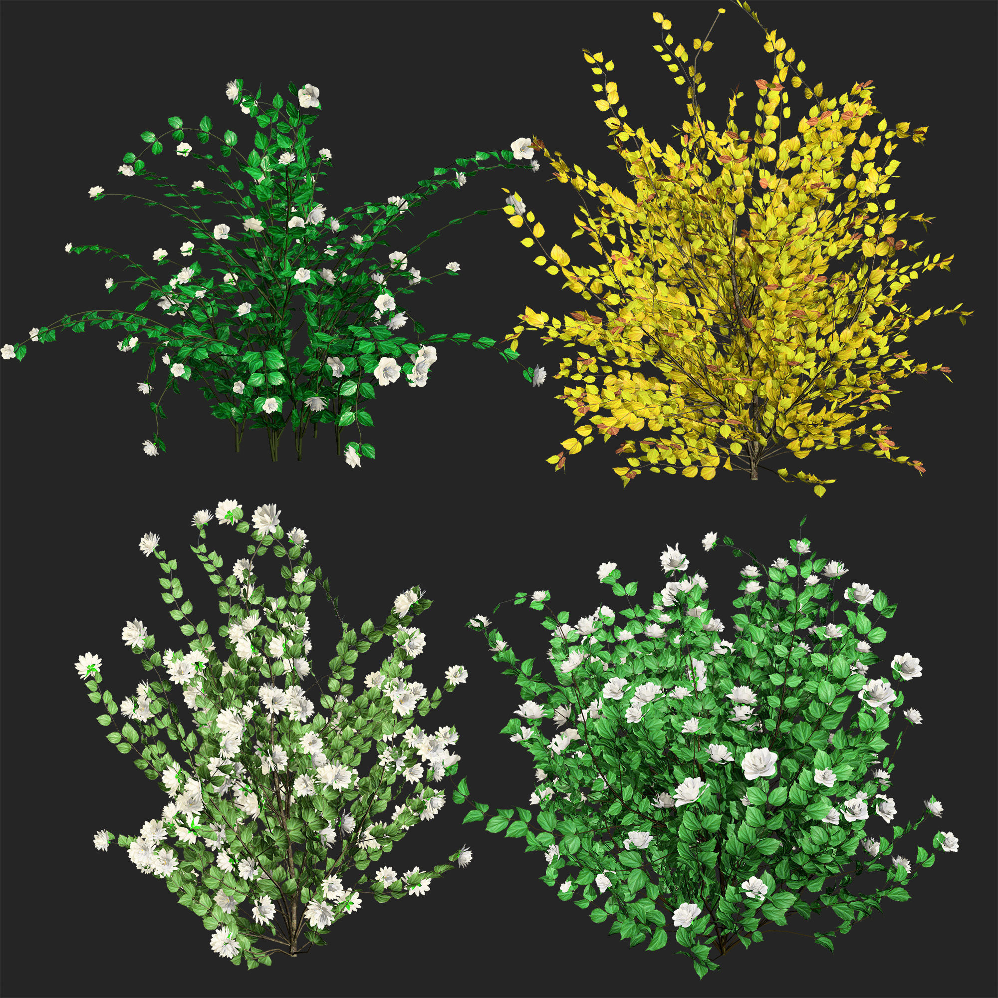 Minnesota Snowflake Mock Orange flower 3d pack Low-poly 3D model_1