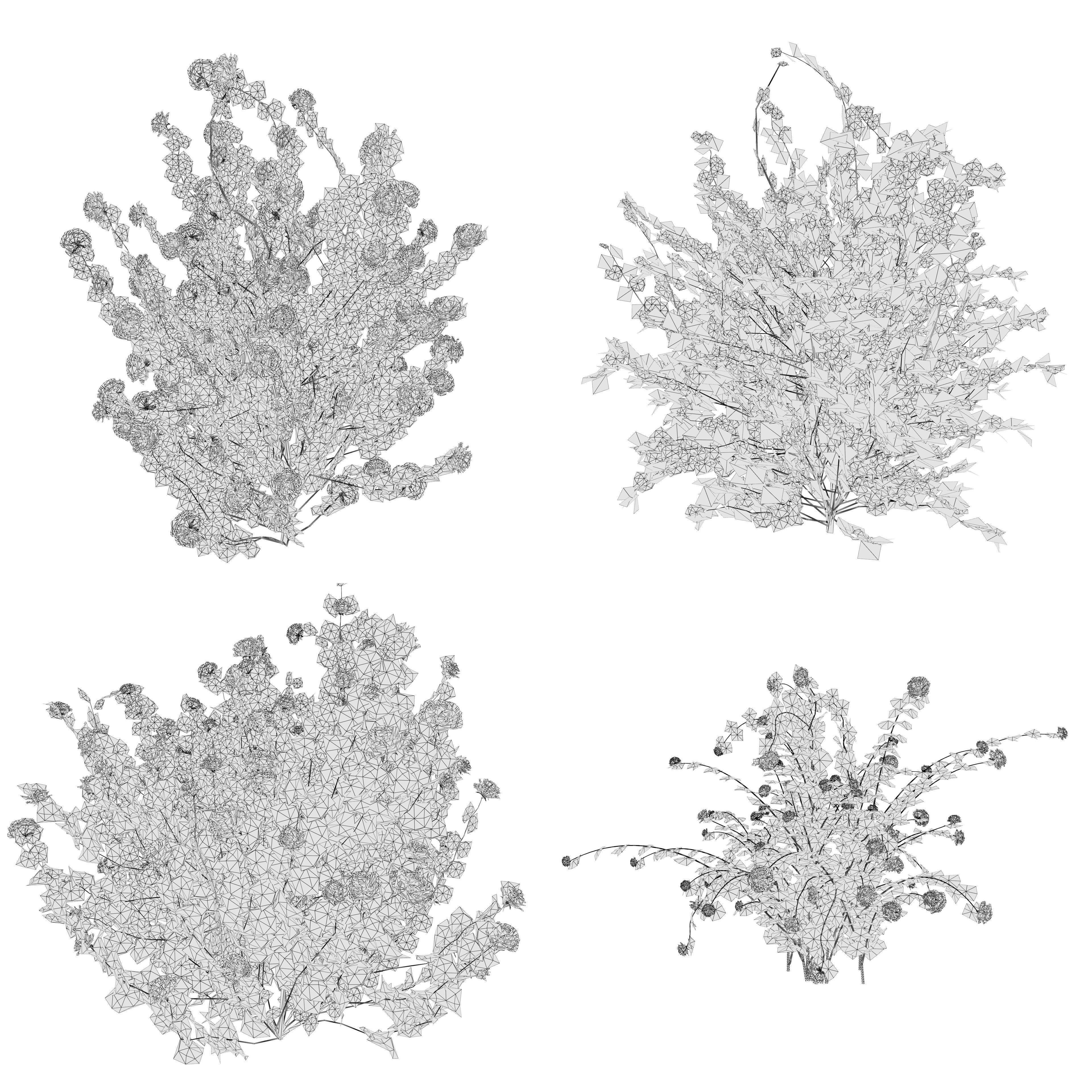 Minnesota Snowflake Mock Orange flower 3d pack Low-poly 3D model_13