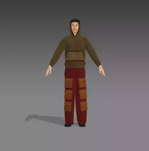 3d cargo pants and sweatshirt