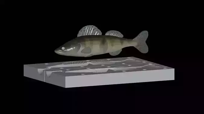 Am bait pikeperch  fish 13cm breaking form for predator fishing 3D print model
