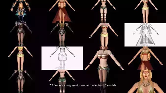 05 fantasy young warrior women collection