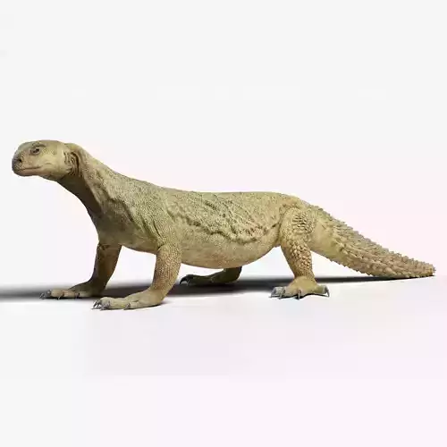 Dhub Lizard Animation - VFX Grace 3D model