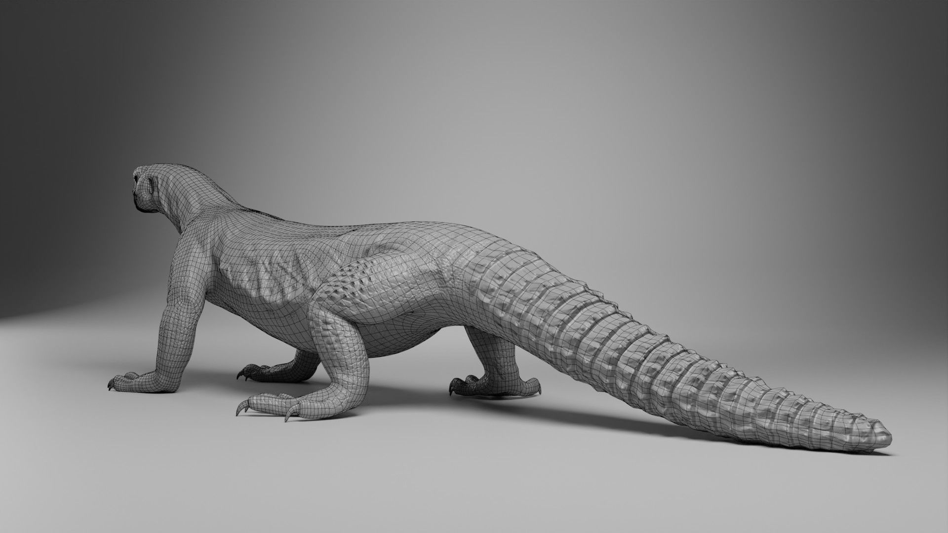 Dhub Lizard Animation - VFX Grace 3D model_16