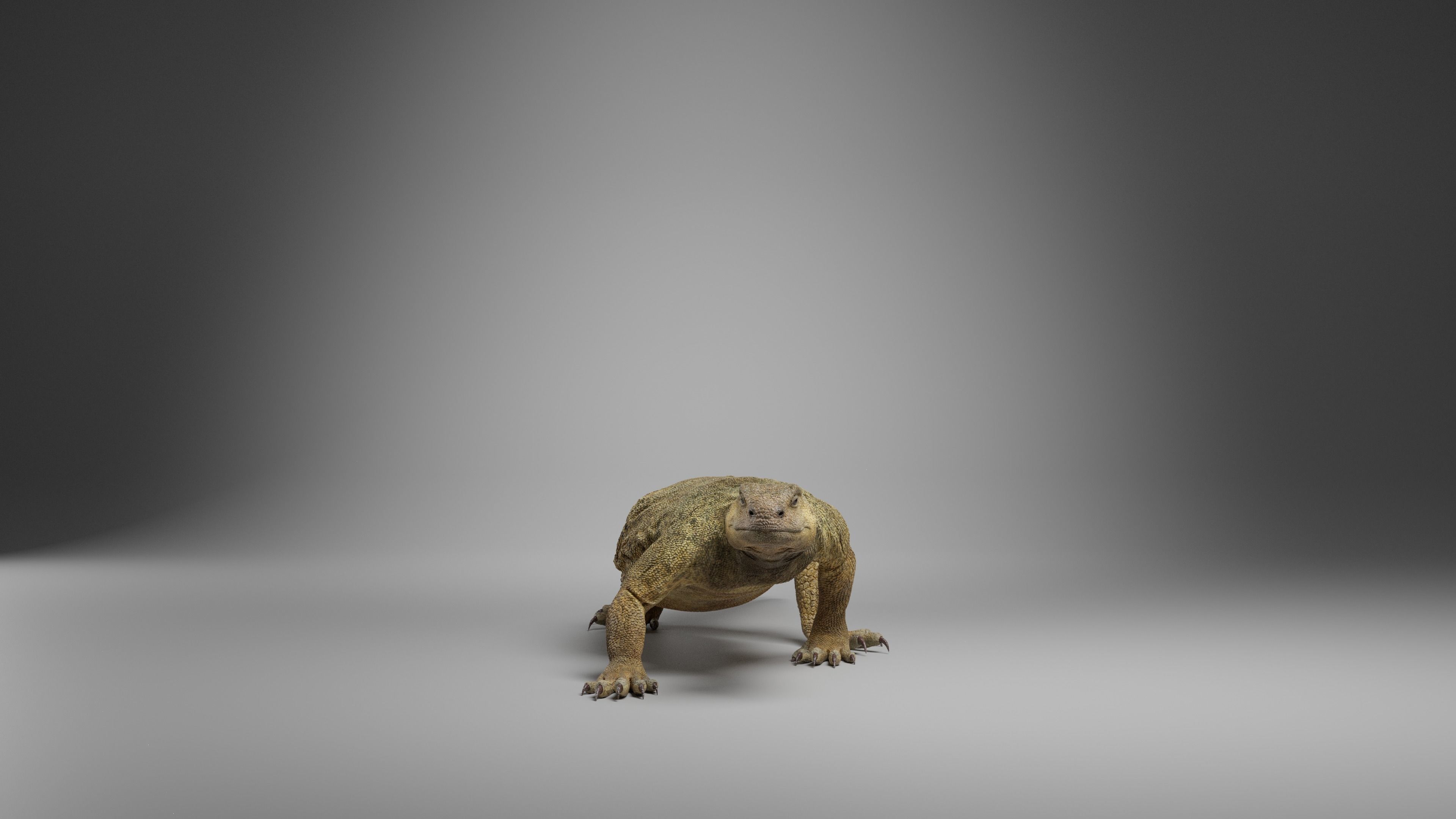 Dhub Lizard Animation - VFX Grace 3D model_5