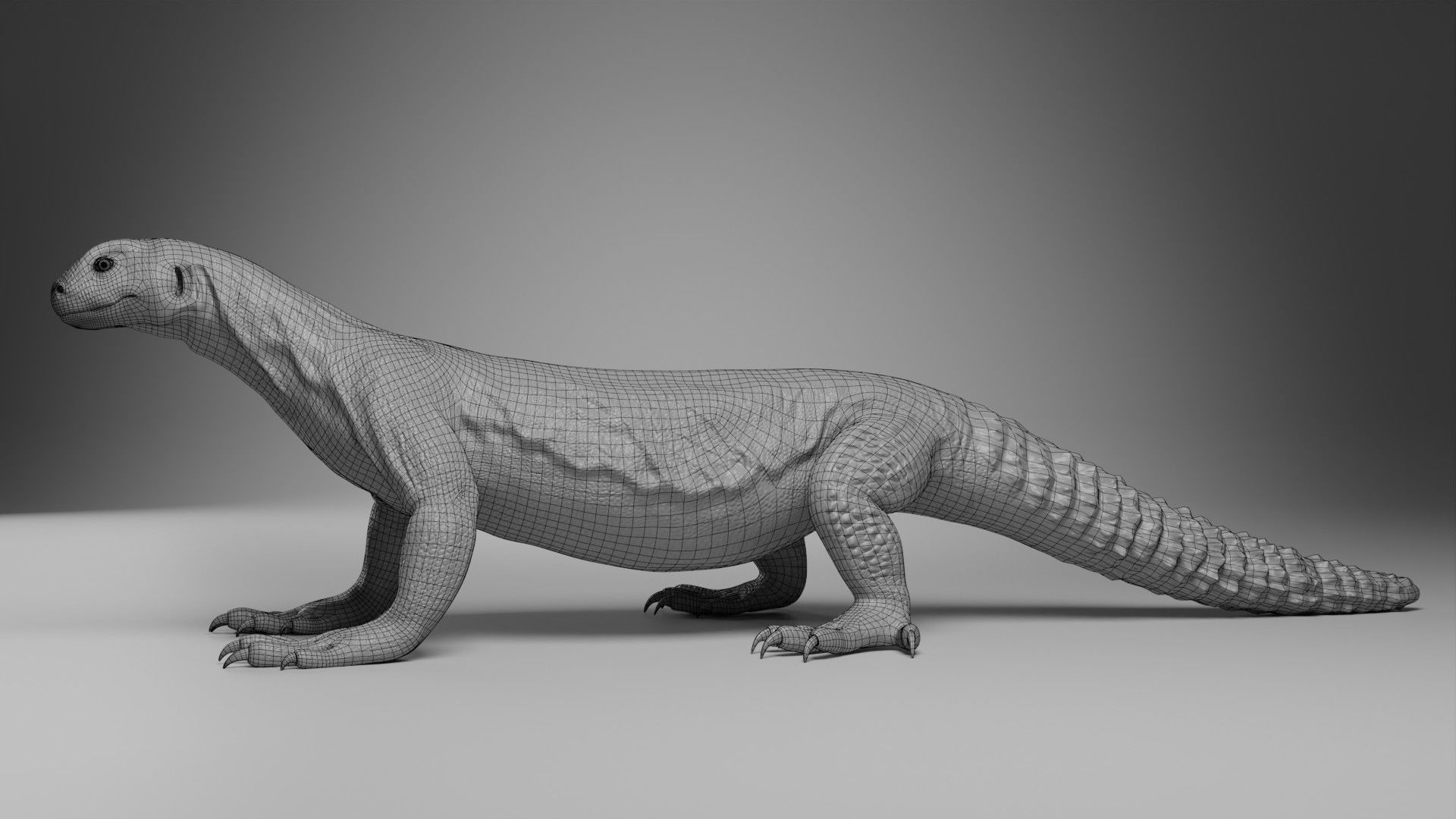 Dhub Lizard Animation - VFX Grace 3D model_15