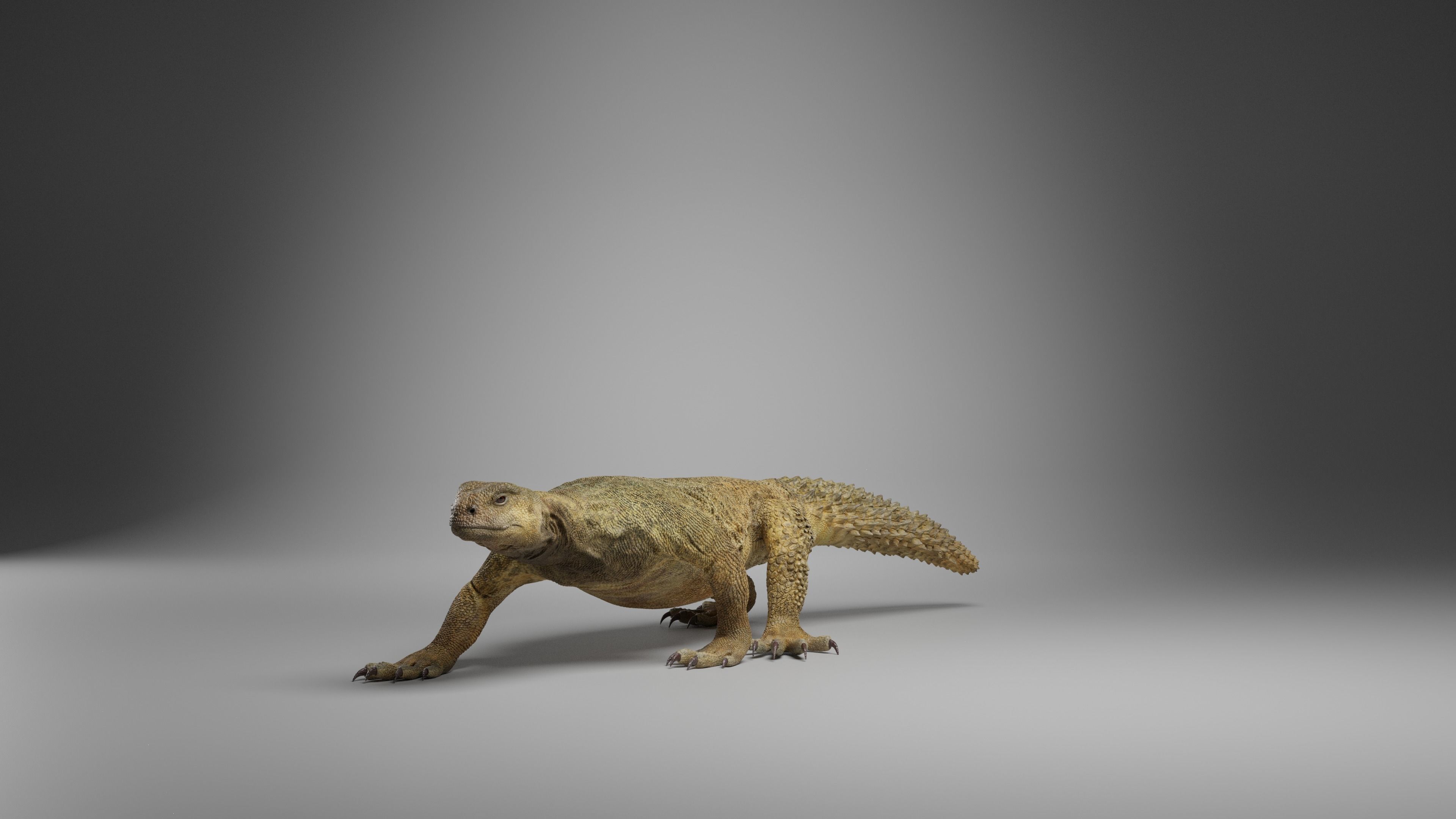 Dhub Lizard Animation - VFX Grace 3D model_6