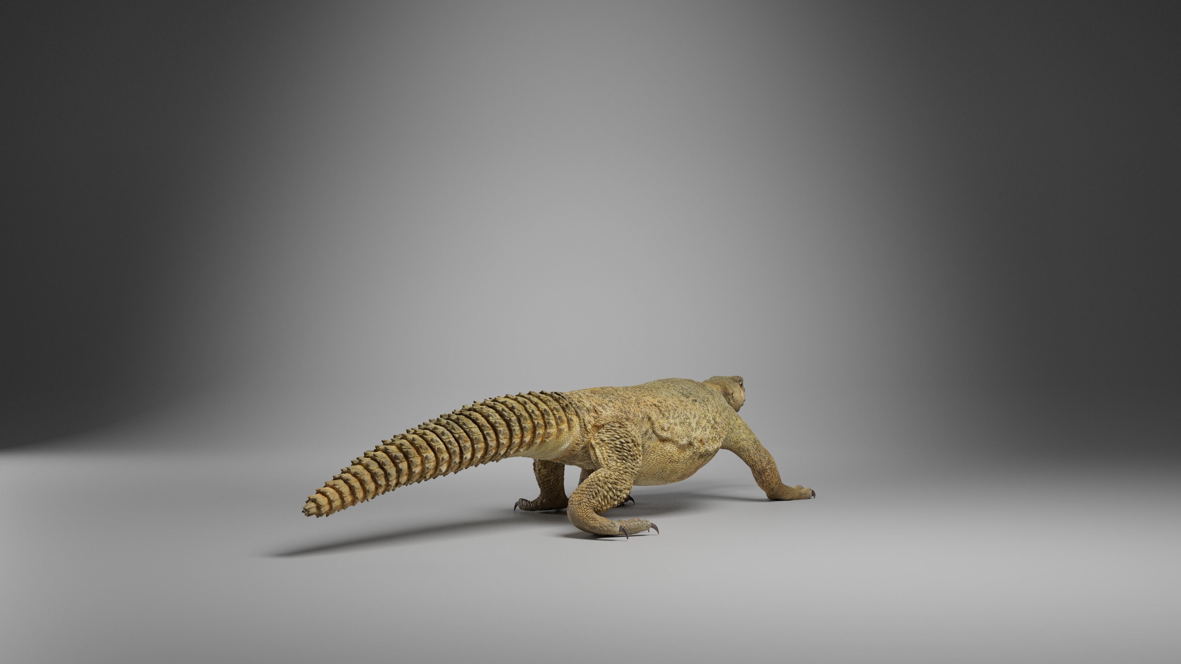 Dhub Lizard Animation - VFX Grace 3D model_8