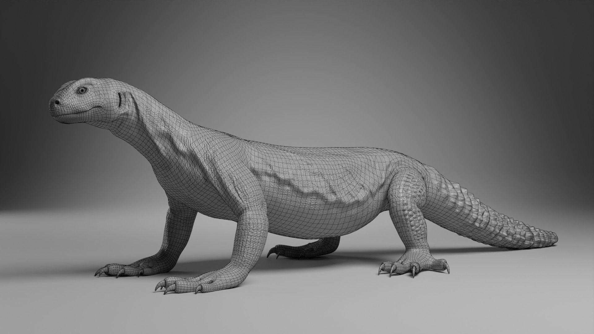 Dhub Lizard Animation - VFX Grace 3D model_14
