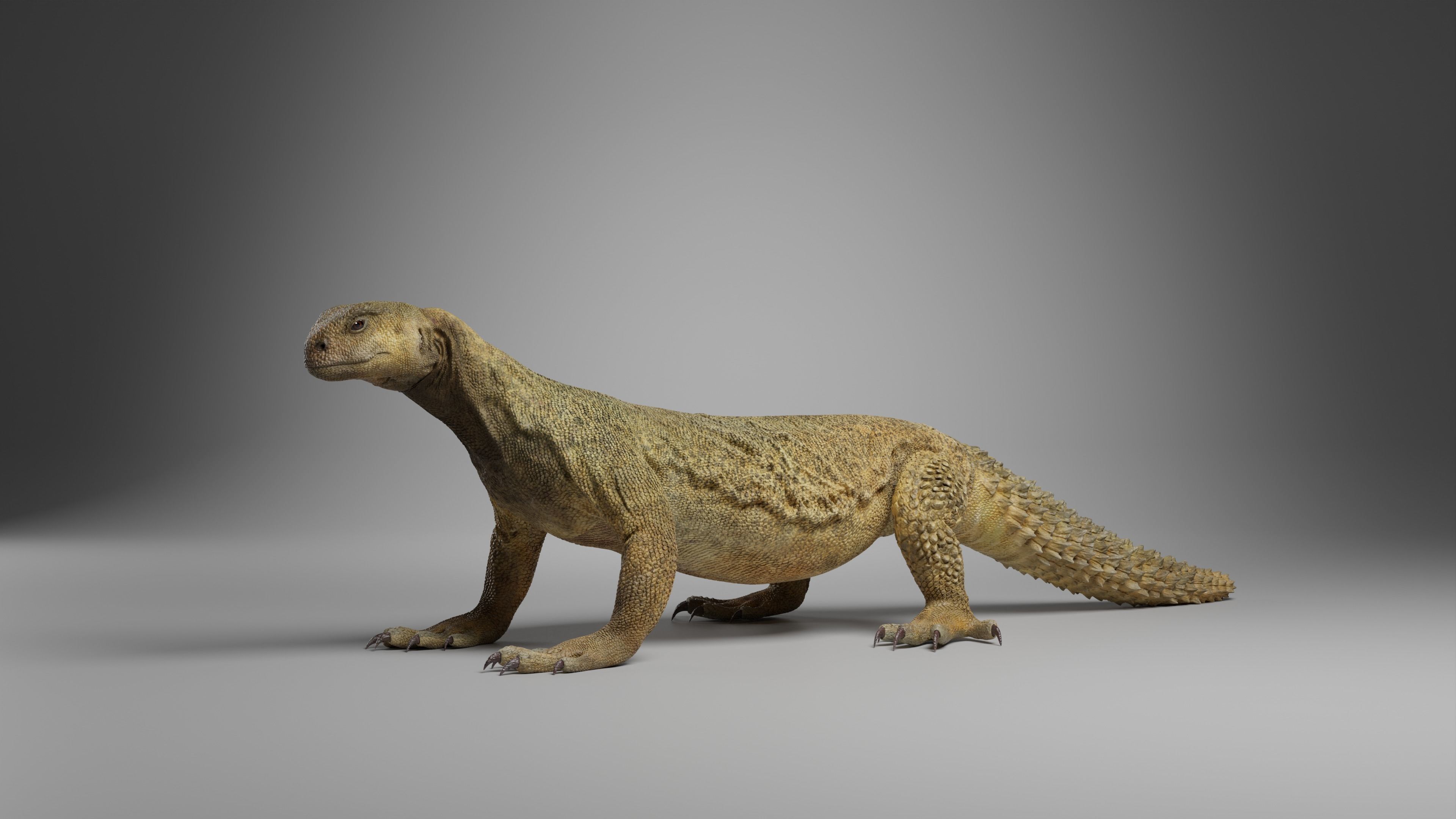 Dhub Lizard Animation - VFX Grace 3D model_4