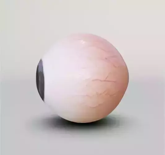 3D Eye 3D model