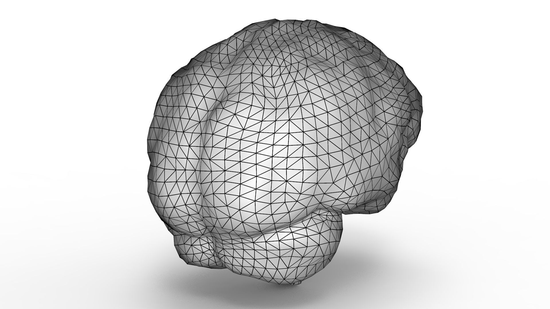 Human Brain 3D model_10