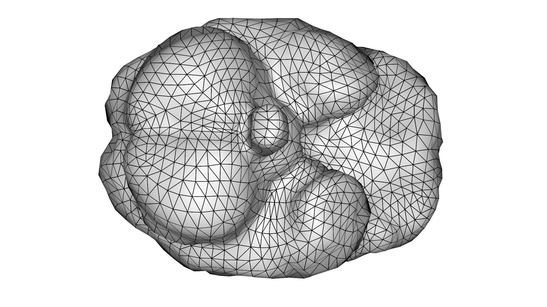 Human Brain 3D model_19