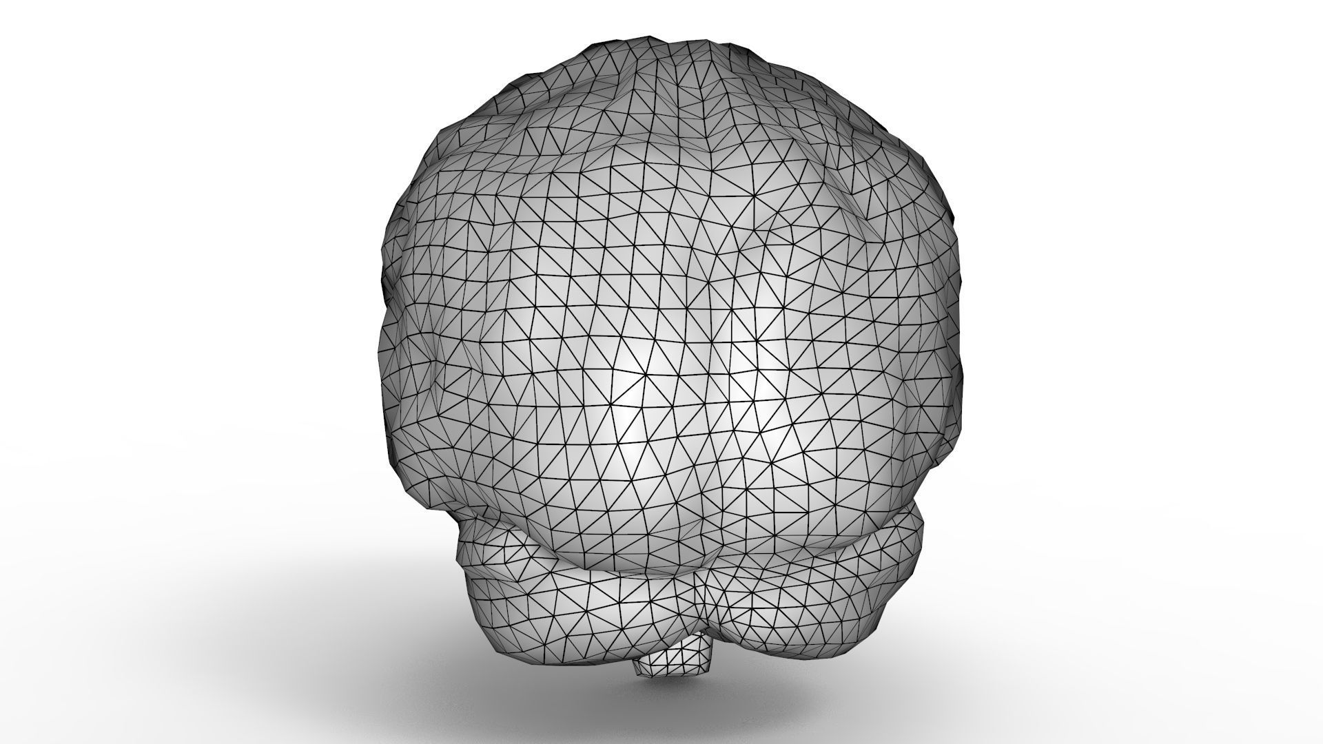 Human Brain 3D model_17