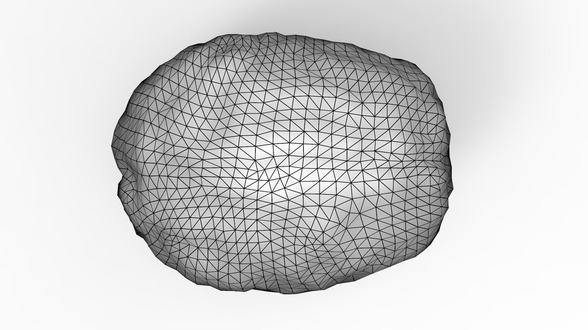 Human Brain 3D model_18