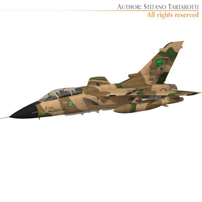 Tornado ADV RSAF 3D model_11