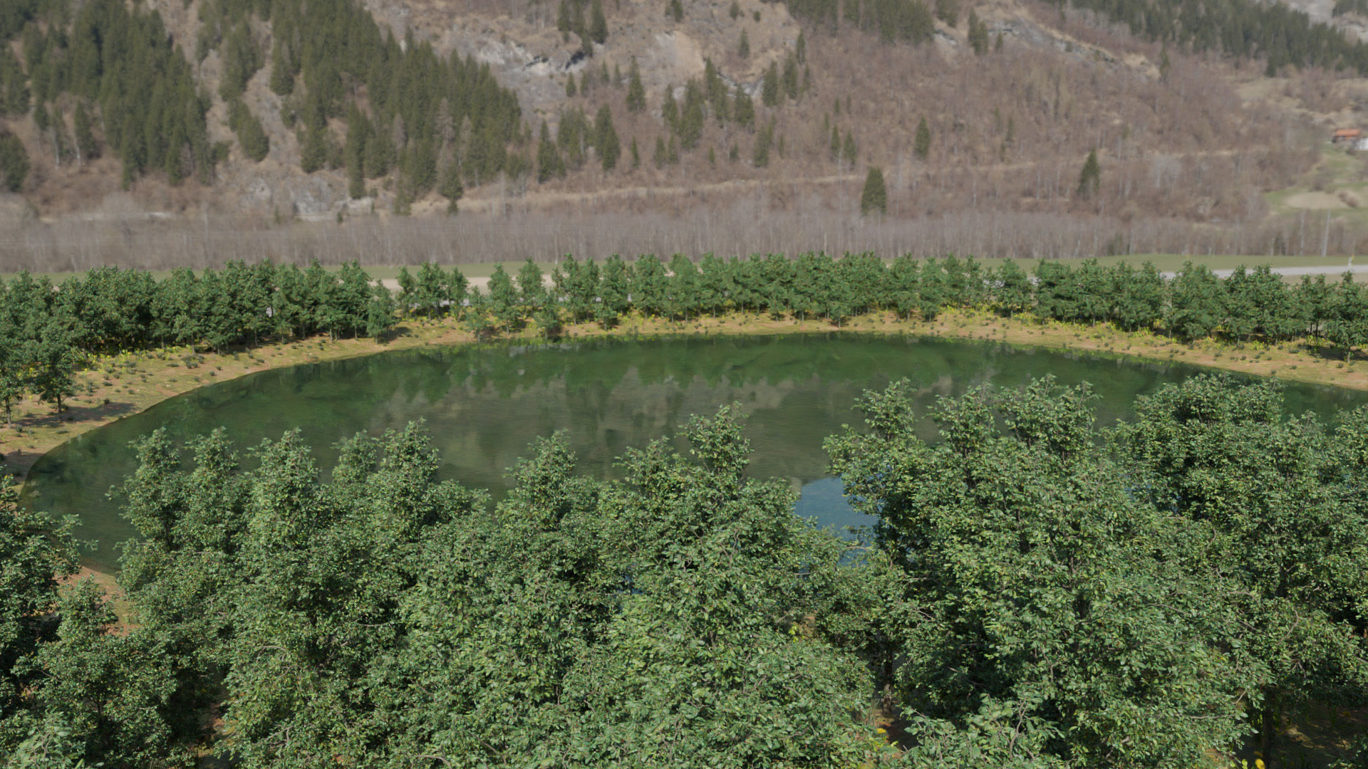 Forest Lake Oasis 3d scene 3D model_2