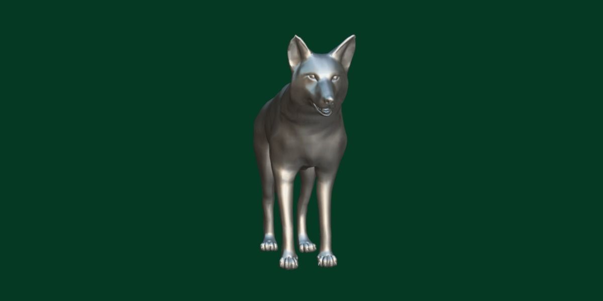 Indian Gray Wolf Low-poly 3D model_4