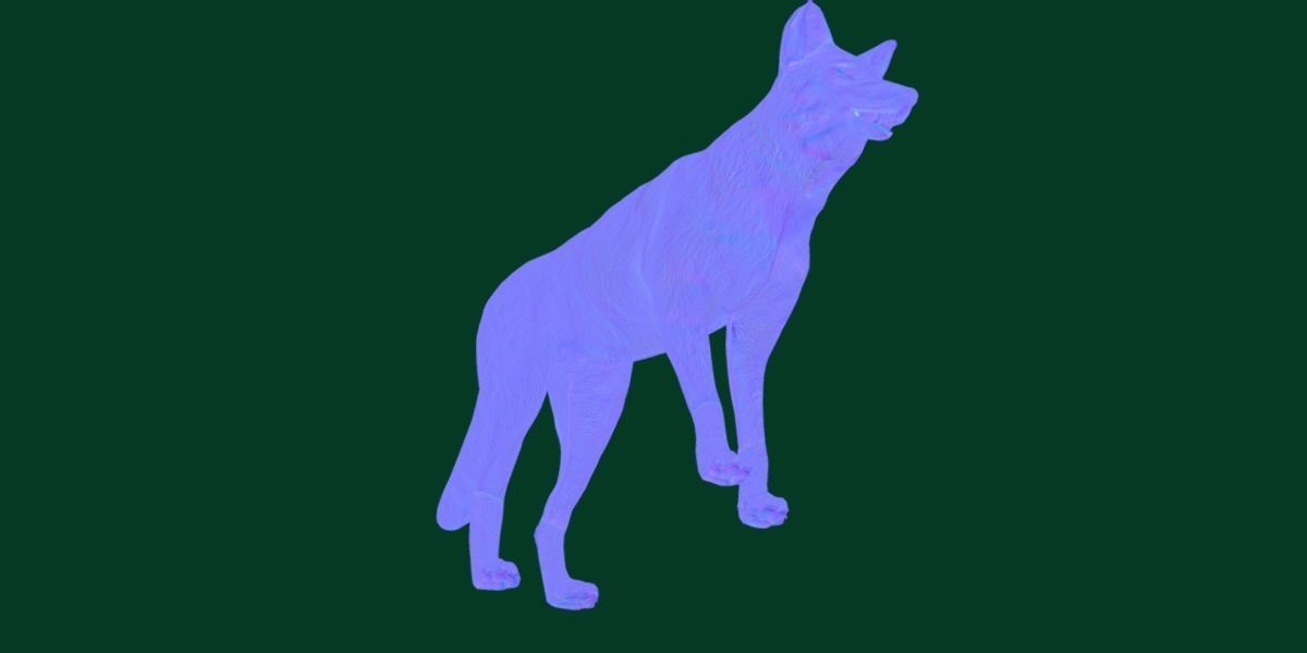 Indian Gray Wolf Low-poly 3D model_15