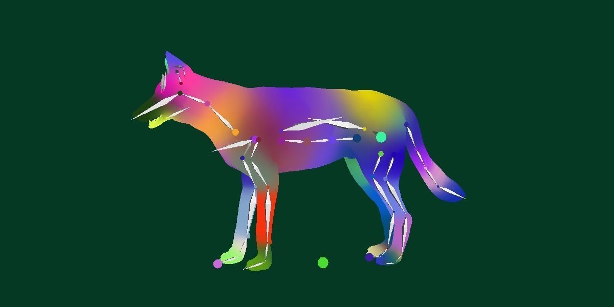 Indian Gray Wolf Low-poly 3D model_12