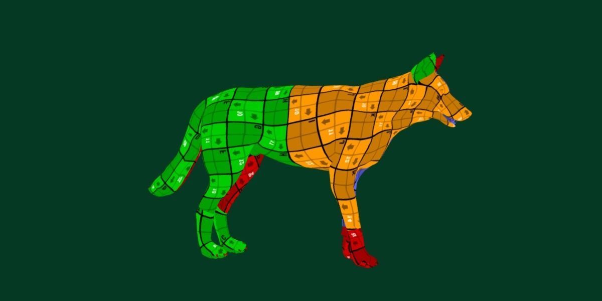 Indian Gray Wolf Low-poly 3D model_7